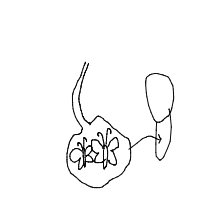 butterflies in stomach drawing by guest-k6hasqi6i in Artbitrator