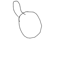 horse wearing sunglasses drawing by kabooka in Artbitrator