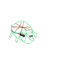 turtle with glasses drawing by guest-60d1s6dhr in Artbitrator