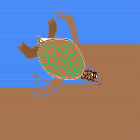 sea turtle drawing by adzwinz123 in Artbitrator