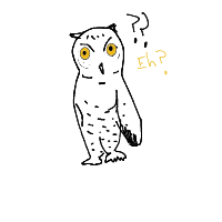 confused owl drawing by adzwinz123 in Artbitrator