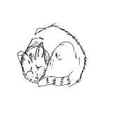 sleeping cat drawing by roadkill in Artbitrator