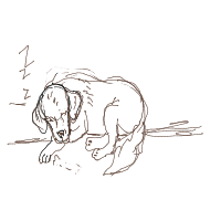 sleepy dog drawing by roadkill in Artbitrator