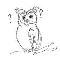 confused owl drawing by roadkill in Artbitrator