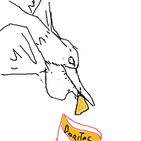 seagull stealing chips drawing by vihtor in Artbitrator