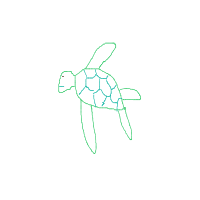sea turtle drawing by ace_sha in Artbitrator