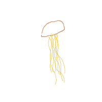 jellyfish drawing by ace_sha in Artbitrator