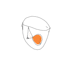 fish in bowl drawing by lelematarile in Artbitrator