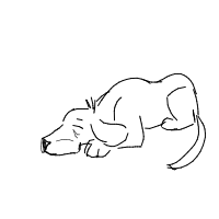 sleepy dog drawing by lauralu in Artbitrator
