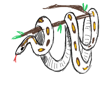 snake on branch drawing by lauralu in Artbitrator