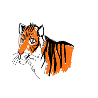 tiger drawing by lauralu in Artbitrator