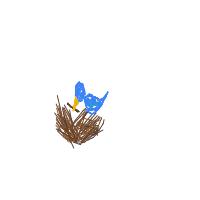 bird building nest drawing by turkishpapi in Artbitrator