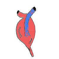 heart drawing by ashimusprime69 in Artbitrator