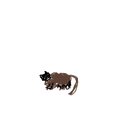 sleeping cat drawing by cbfrye in Artbitrator