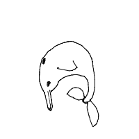 dolphin drawing by ashimusprime69 in Artbitrator