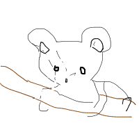 koala hugging tree drawing by palala in Artbitrator