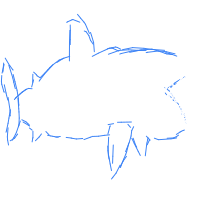 great white shark drawing by boaz0252 in Artbitrator