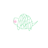 shy turtle drawing by guest-tjlth1asp in Artbitrator