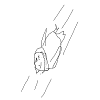 penguin sliding drawing by guest-t58168o09 in Artbitrator