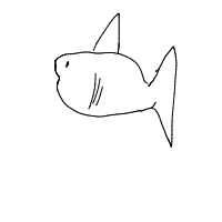 great white shark drawing by hellokitty0496 in Artbitrator