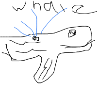 whale breaching drawing by steeler_draws in Artbitrator
