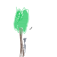 koala hugging tree drawing by haniiiiiiii in Artbitrator