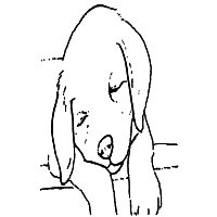sleepy dog drawing by ozo7 in Artbitrator