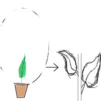 plant growing timelapse drawing by choccymilk in Artbitrator