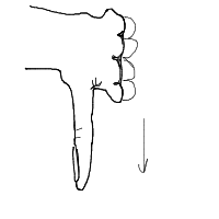 thumbs down drawing by kroket in Artbitrator