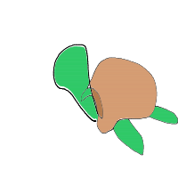 sea turtle drawing by kroket in Artbitrator