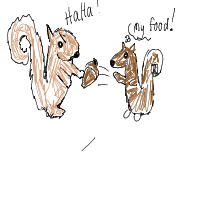 squirrel stealing food drawing by cabbages in Artbitrator