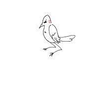 angry bird drawing by nzzzzzzzzzzzz in Artbitrator