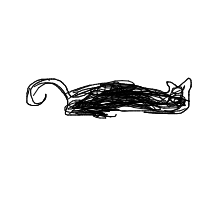 sleeping cat drawing by sree in Artbitrator