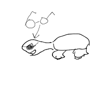 turtle with glasses drawing by saloni in Artbitrator