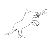 dog catching frisbee drawing by einstein in Artbitrator