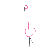 flamingo standing on one leg drawing by erica in Artbitrator