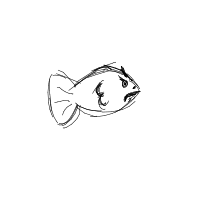 grumpy fish drawing by kikij in Artbitrator