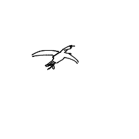 bird drawing by player-rap7nt4t3 in Artbitrator