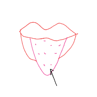 tip of tongue drawing by lilyjunebuggy in Artbitrator