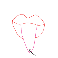 tip of tongue drawing by lilyjunebuggy in Artbitrator