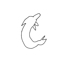 dolphin drawing by lilyjunebuggy in Artbitrator