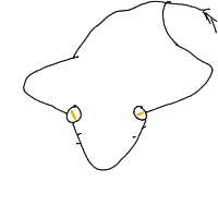 stingray drawing by lilyjunebuggy in Artbitrator