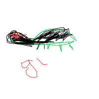 turtle with glasses drawing by montuuu in Artbitrator