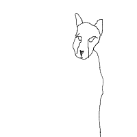 cheetah drawing by myname in Artbitrator