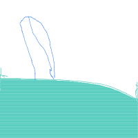 whale breaching drawing by myname in Artbitrator