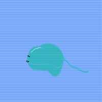 stingray drawing by myname in Artbitrator