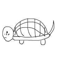 shy turtle drawing by iluvbunnys427 in Artbitrator
