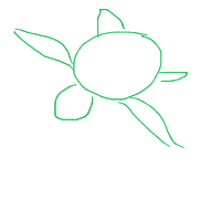 sea turtle drawing by 666ushnd in Artbitrator