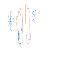 cold feet drawing by augurylynx in Artbitrator