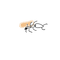 ant carrying giant crumb drawing by dantasrenato in Artbitrator